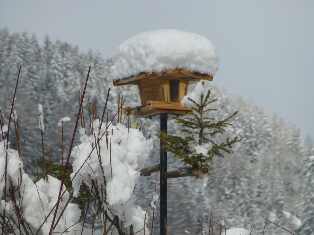 Guesthouse Mountain View Großkirchheim 외부 사진